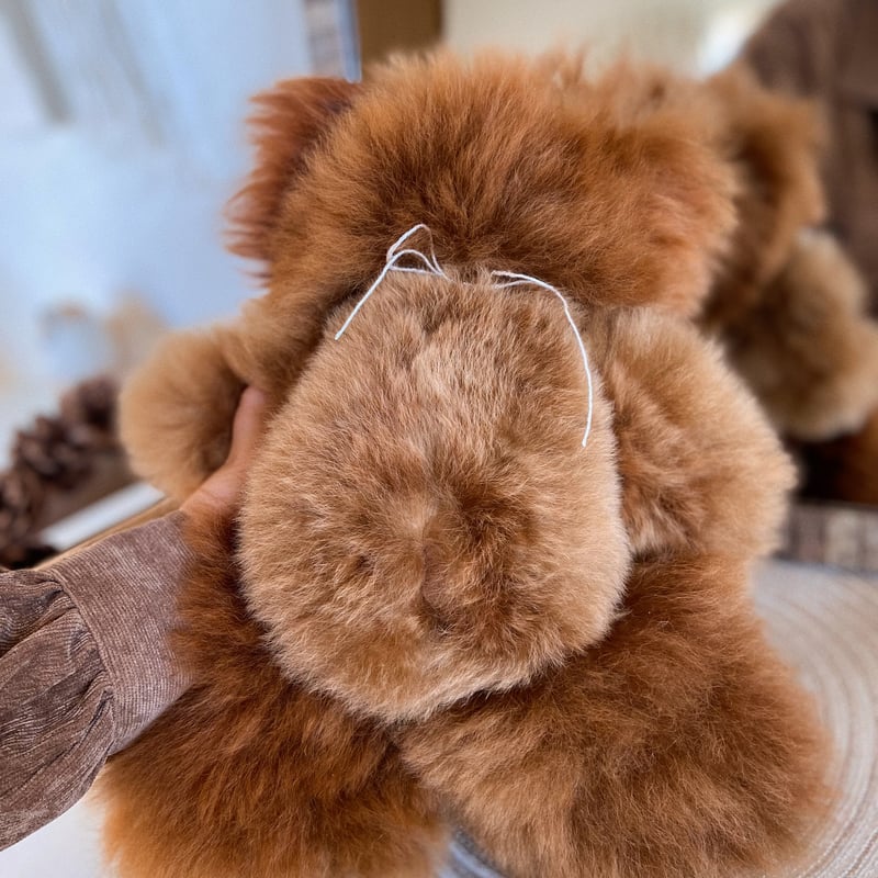 062 ］ チョコレート / アルパカテディベア / 送料無料 | Melt