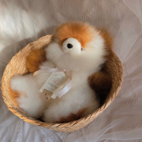 アルパカテディベア | STORES