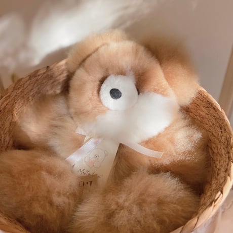 アルパカベア | STORES