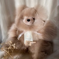 033 ］ アルパカテディベア / チョコレート / 送料無料 | Melty hug