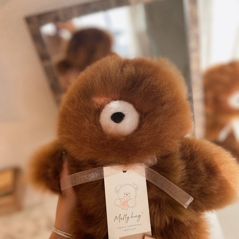 033 ］ アルパカテディベア / チョコレート / 送料無料 | Melty hug