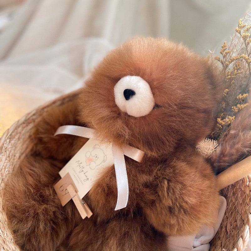 069 ］ チョコレート / アルパカテディベア / 送料無料 | Melt