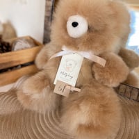 062 ］ チョコレート / アルパカテディベア / 送料無料 | Melt