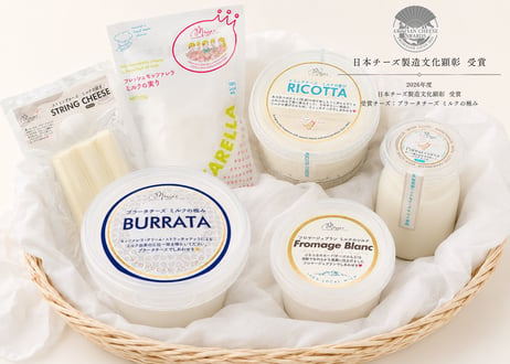 Mozzao Web Store