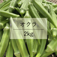オクラ 1kg | りか農園オンラインショップ