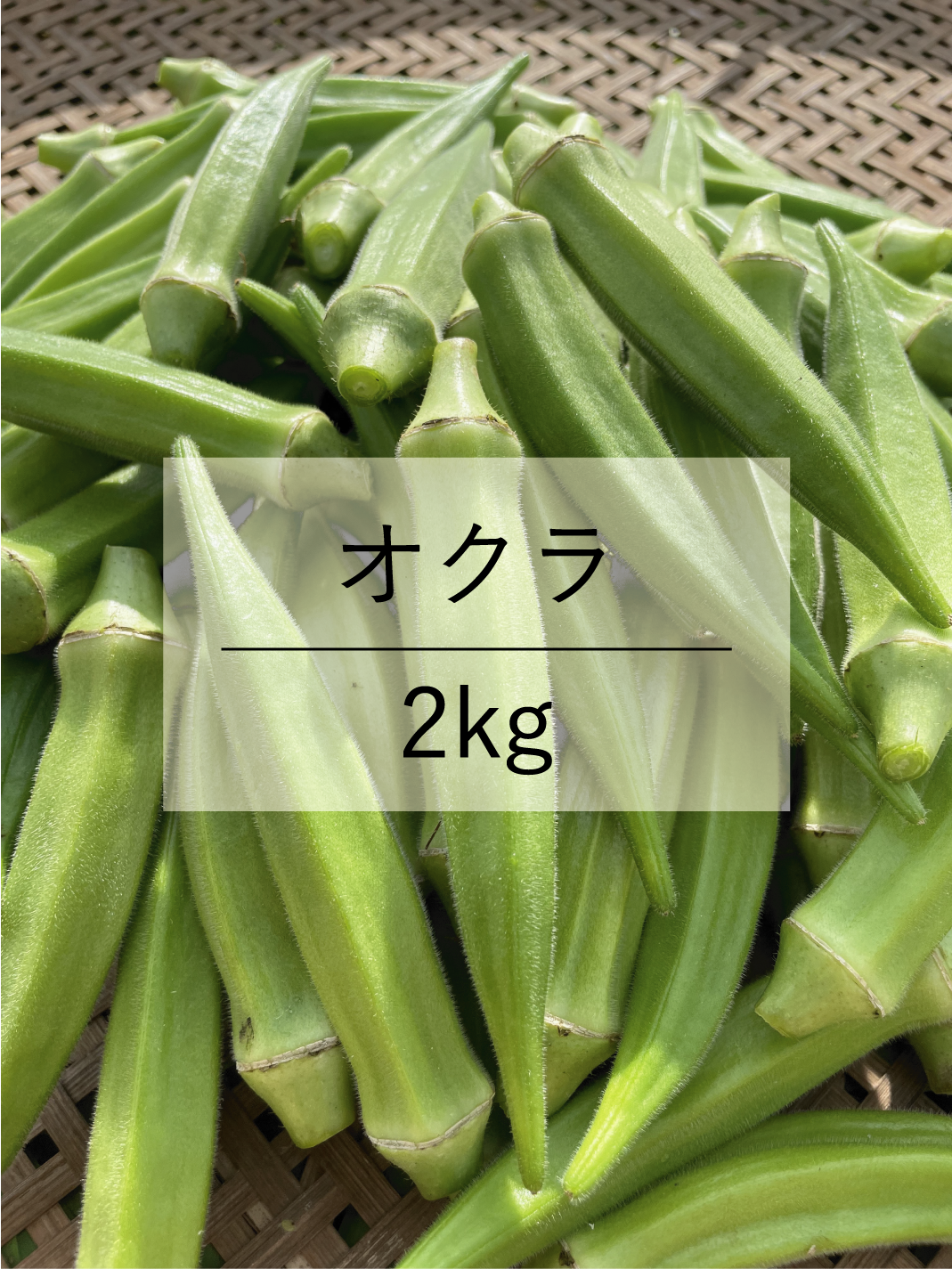 固定種　栽培時農薬不使用　オクラ オクラ 3kg 有機栽培 鹿児島県産 有機JAS 化学肥料・農薬不使用 おくら