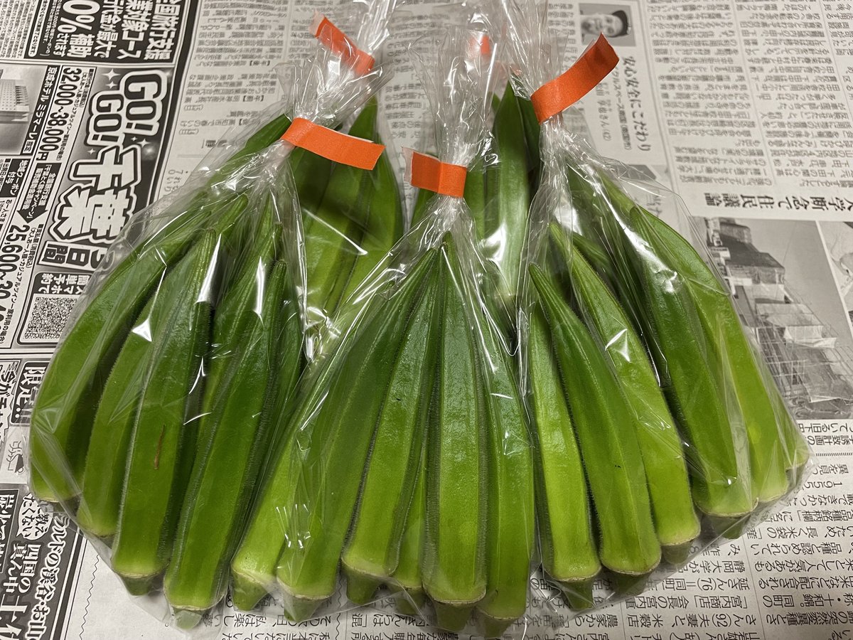 【完売】新鮮オクラ約1キロ オクラ 1kg | りか農園オンラインショップ