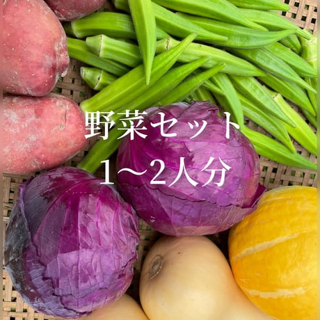 季節の野菜セット  1～2人分