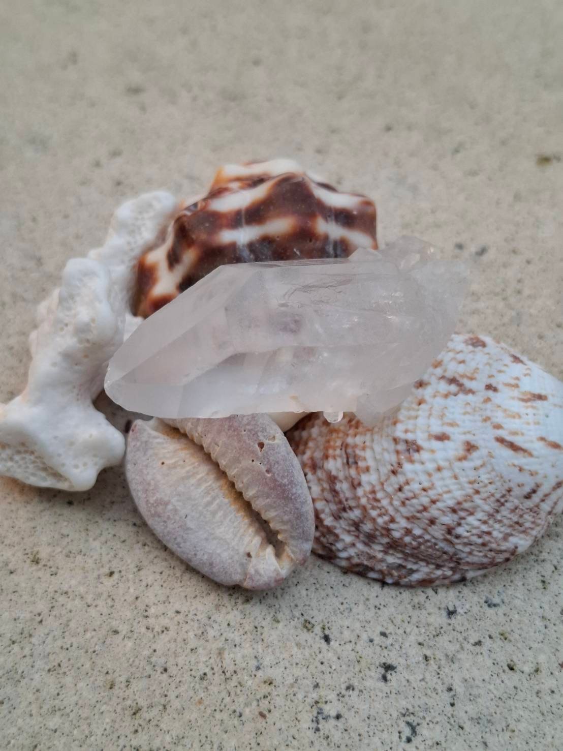 レムリアンシードクリスタル✨ | Coco Rainbow