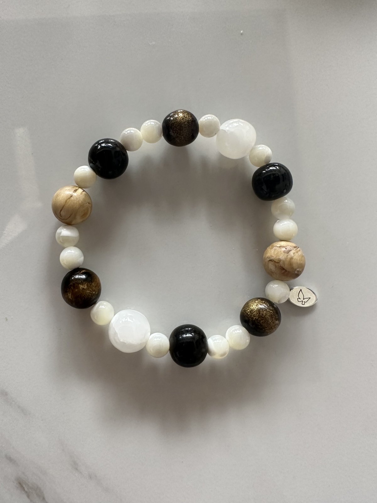 希少☆珊瑚付☆渦巻き＆チューブ 貝殻 ケオン イシカブラ 標本