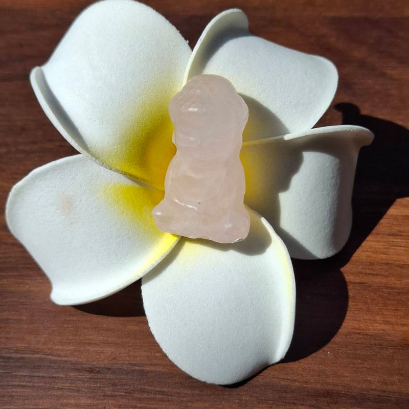 Healing Buddha🌹ローズクォーツ🌹Mini Statue | Coco Rainbow