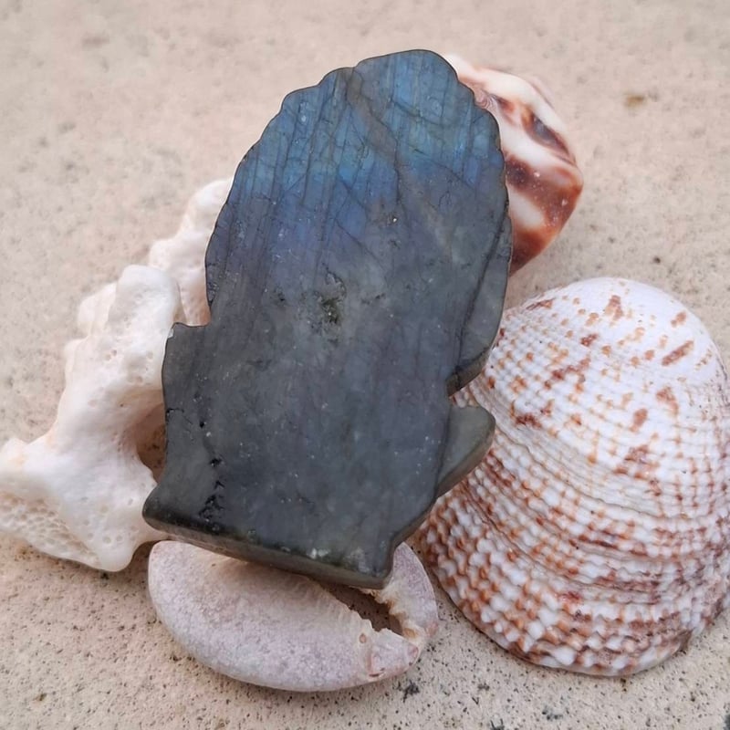 万能の神✨ラブラドライトガネーシャ | Coco Rainbow