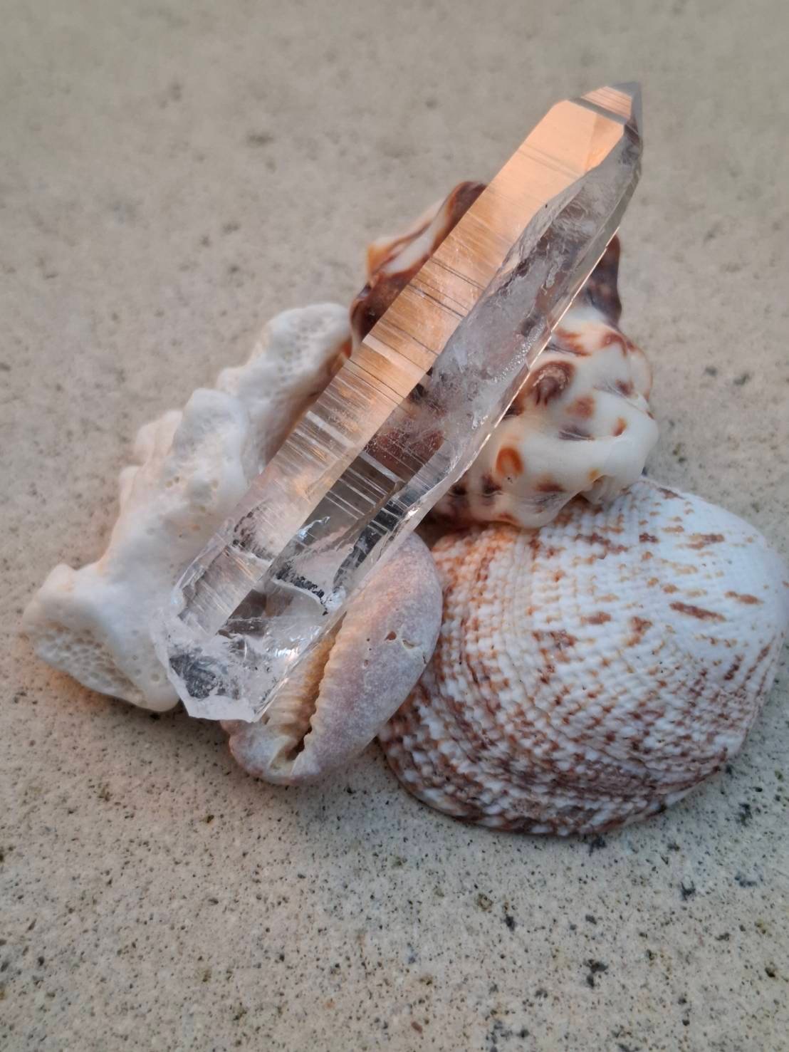 レムリアンシードクリスタル✨③ | Coco Rainbow