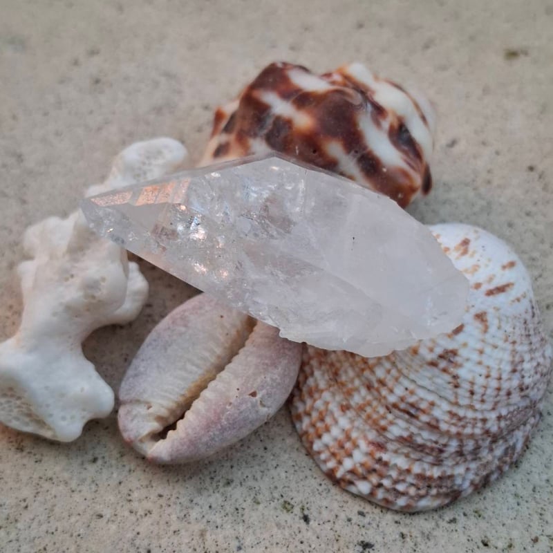 レムリアンシードクリスタル✨⑦ | Coco Rainbow