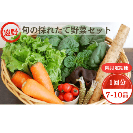 遠野旬の採れたて野菜セット  【定期便：隔月発送】