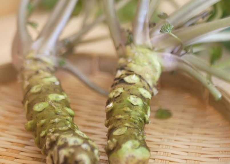 やさい屋ひろ坊‼️ 岩手県産天然葉わさび40本行者ニンニク100本計140本 遠野産根わさび 大ｻｲｽﾞ(約85g）1本 | こんたでぃーの遠野 Online
