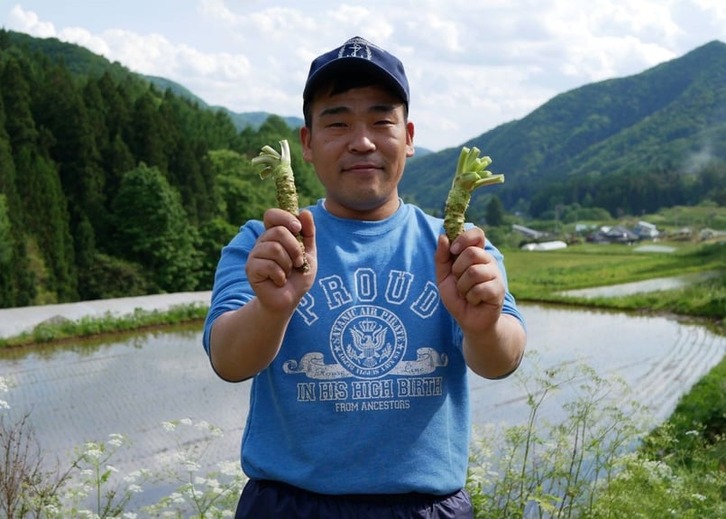 やさい屋ひろ坊‼️ 岩手県産天然葉わさび40本行者ニンニク100本計140本 天然葉わさび 200g×3袋 | 原生林の熊