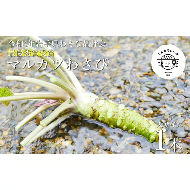 遠野産根わさび 大ｻｲｽﾞ(約85g）1本 | こんたでぃーの遠野 Online Shop