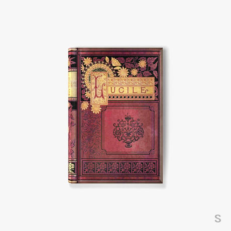fake book box / POEMSⅠ-LUCILE-A【S / 1 book】