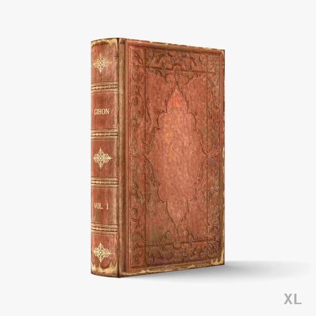 fake book box / HOLBEINⅠ-BROWN-A【XL / 1 book】