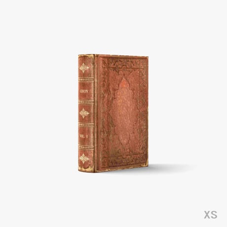 fake book box / HOLBEINⅠ-BROWN-A【XS / 1 book】
