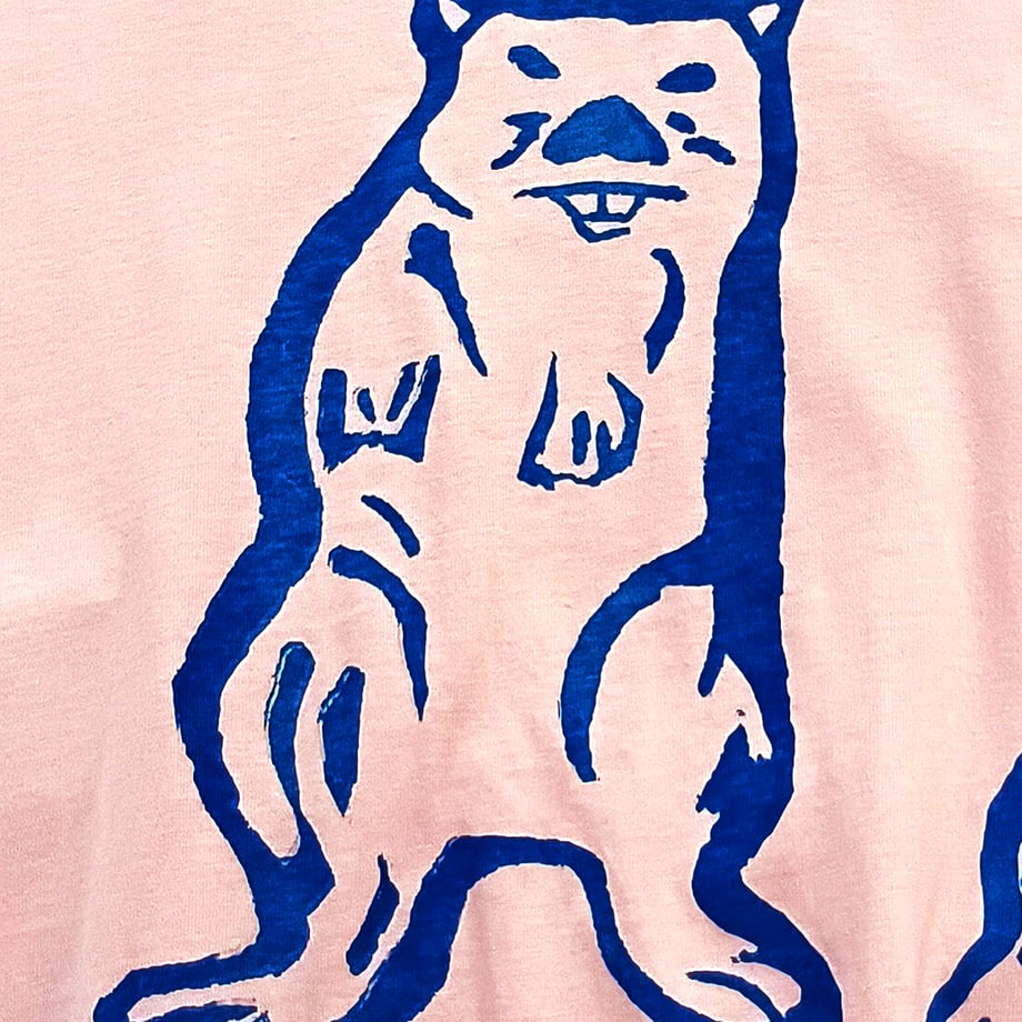 69c61ca26f1dc987c6990a0d