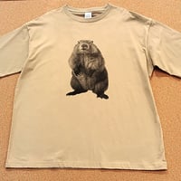 マーモット写真　Tシャツ