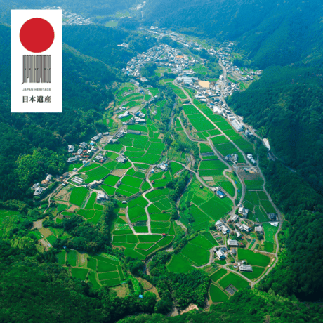 午前の部参加申し込み