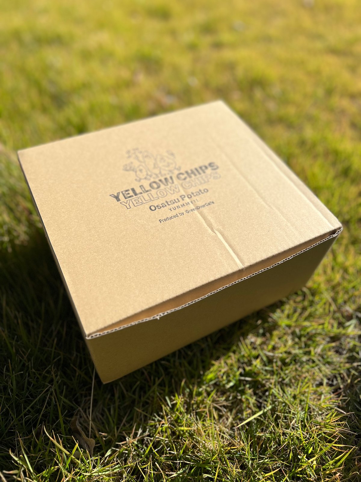 YELLOWCHIPS 夏ギフト6個入BOX | GreenDoor ONLINESTORE