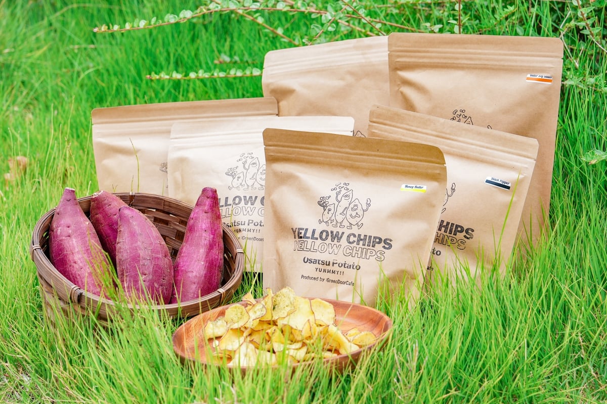 YELLOWCHIPS ﾌﾞﾗｯｸﾍﾟｯﾊﾟｰ Mサイズ | GreenDoor ONLINE