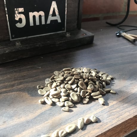 Item | SHAMAN SHOP JAPAN