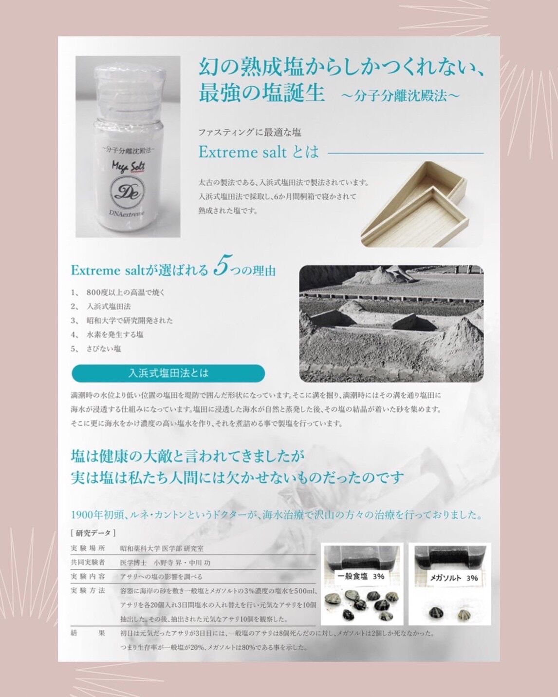 メガソルト | CLEARLY.STORE メガソルト | CLEARLY.STORE