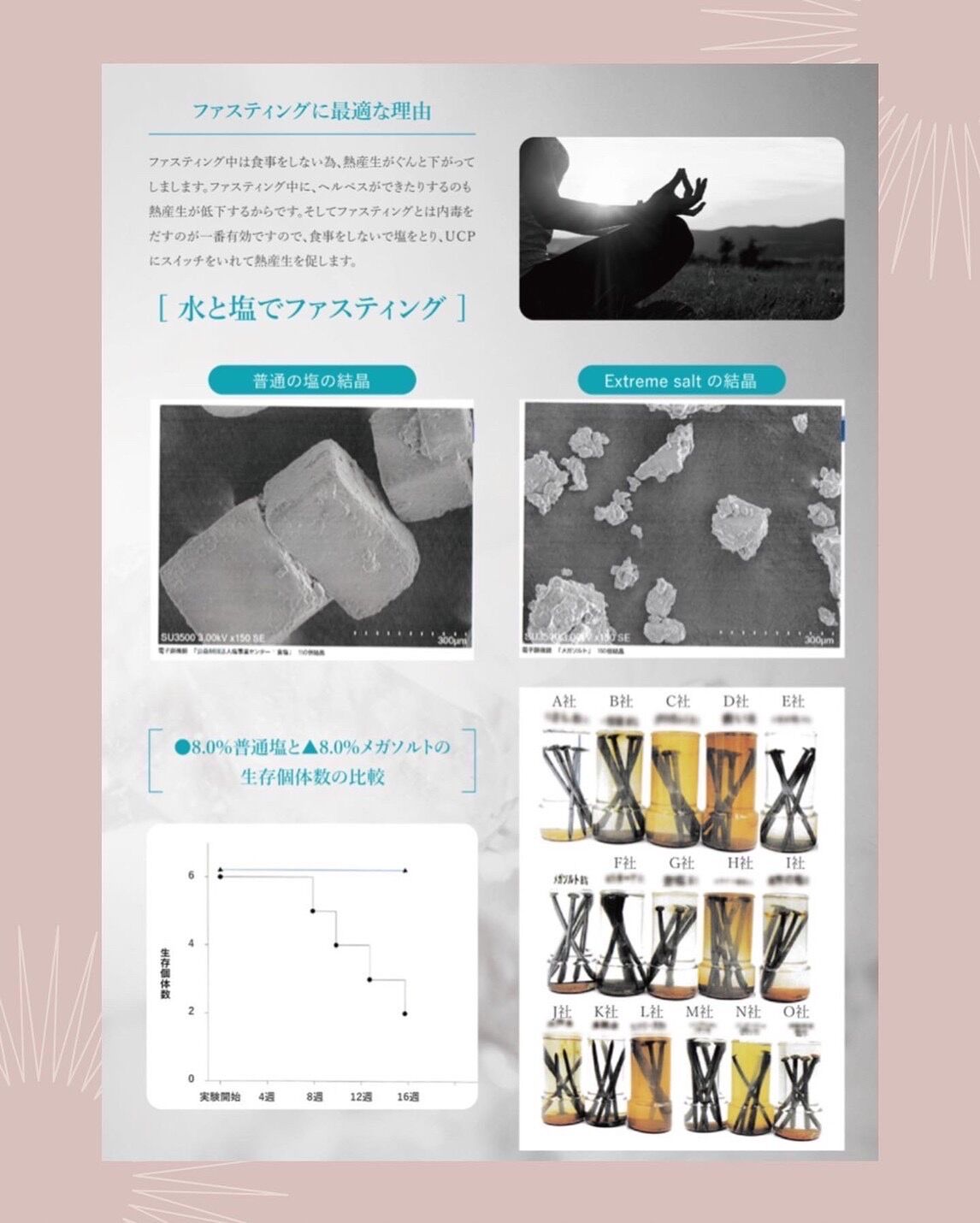 メガソルト | CLEARLY.STORE