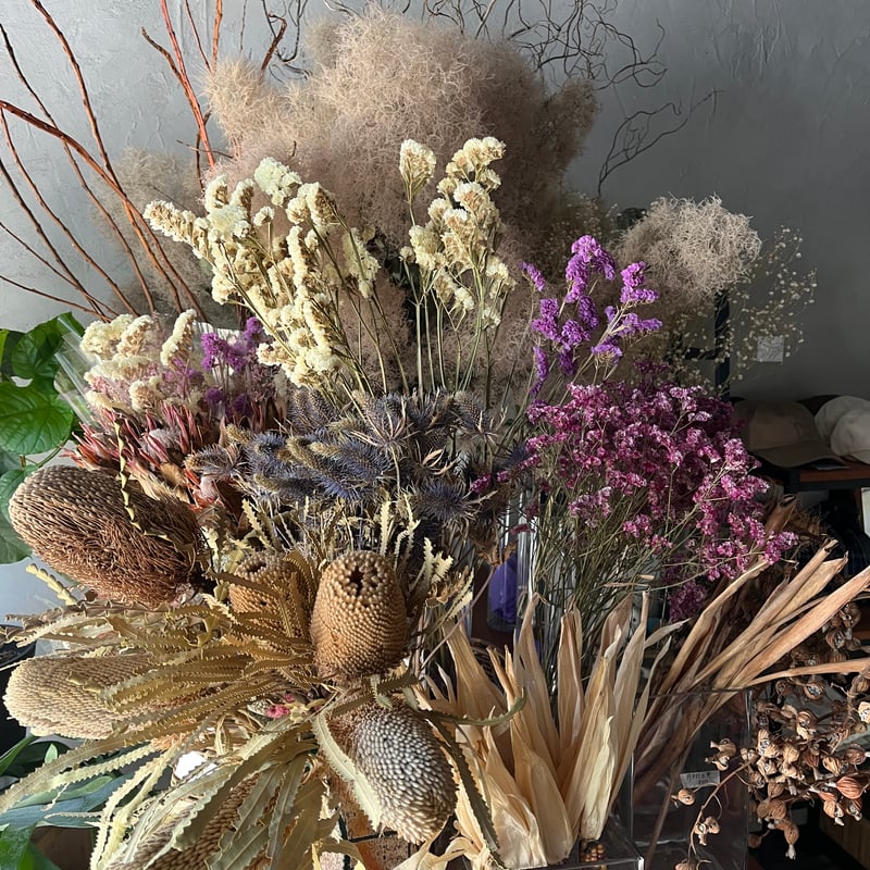 ドライフラワー | おかやま生花店