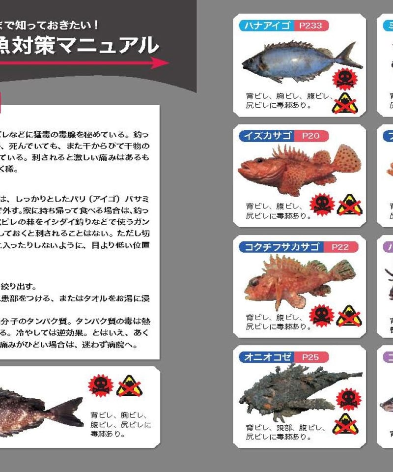 【必見】日本の魚釣り百科事典 ☆魚種別釣魚参考書☆ 釣魚1400種図鑑 海水魚・淡水魚完全見分けガイド 釣り人のための