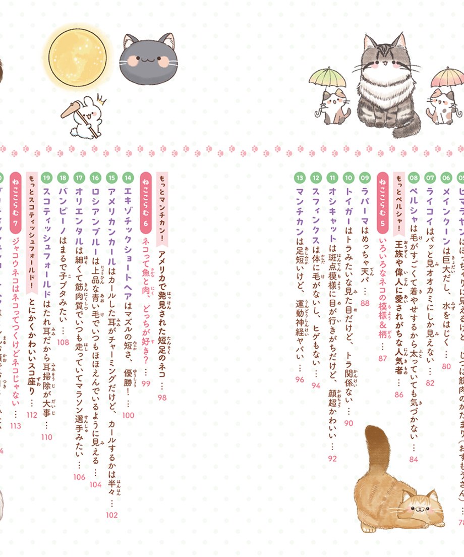 67a3769a044f890f5e8540fe