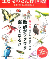 子どもと一緒に見つける身近な生きものさんぽ図鑑