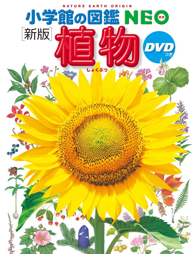 小学館の図鑑NEO〔新版〕 植物 DVDつき | 図鑑専門店 図鑑館－ずかんかん－