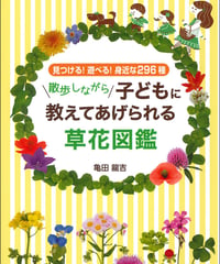 散歩しながら子どもに教えてあげられる草花図鑑