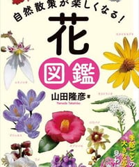 自然散策が楽しくなる！花図鑑