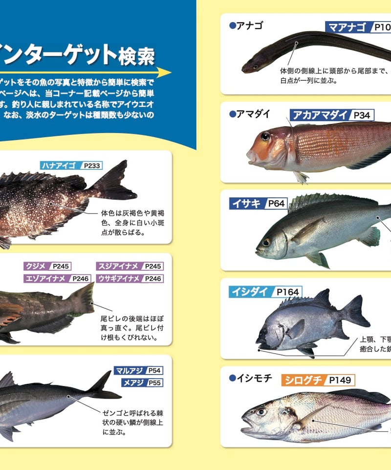【必見】日本の魚釣り百科事典 ☆魚種別釣魚参考書☆ 必見】日本の魚釣り百科事典 ☆魚種別釣魚参考書☆