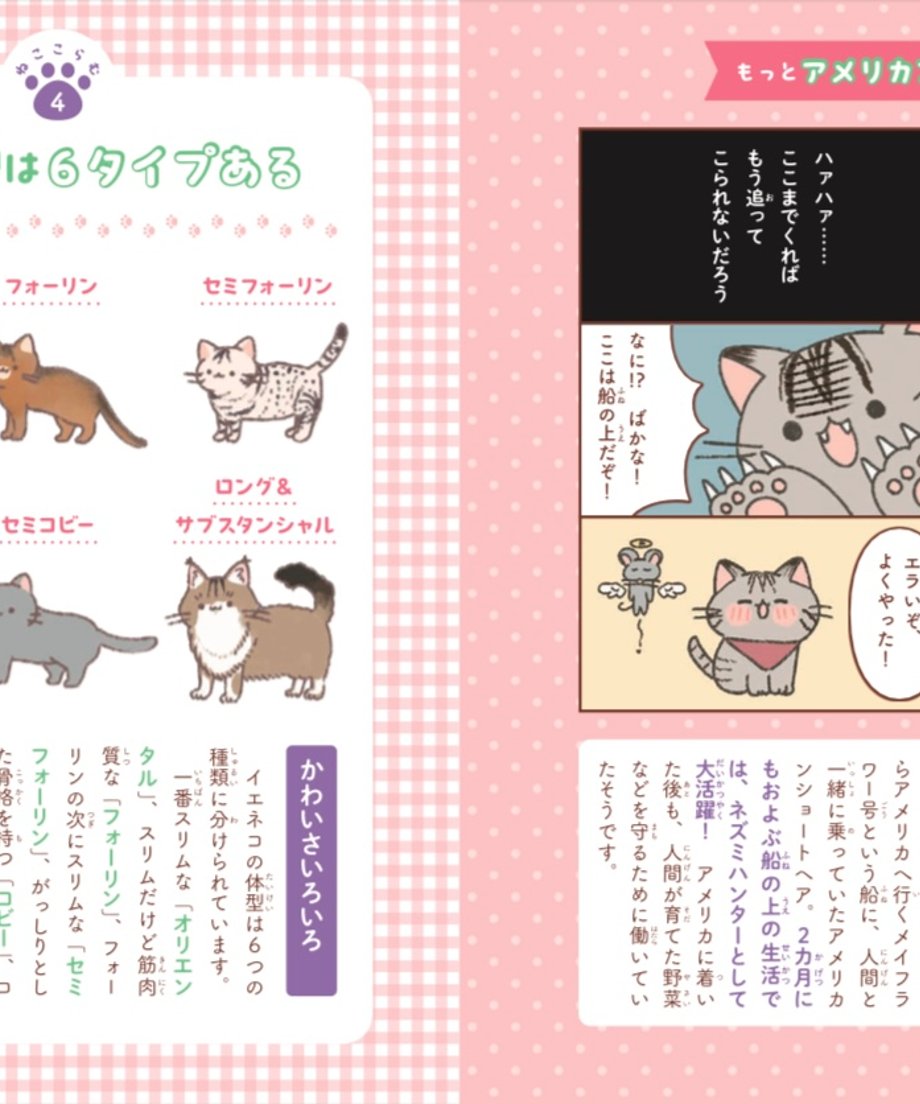 67a3769a044f890f5e8540fe