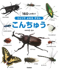 ひとりでよめるずかん こんちゅう