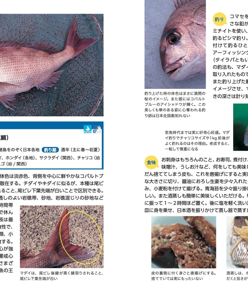 【必見】日本の魚釣り百科事典 ☆魚種別釣魚参考書☆ 必見】日本の魚釣り百科事典 ☆魚種別釣魚参考書☆