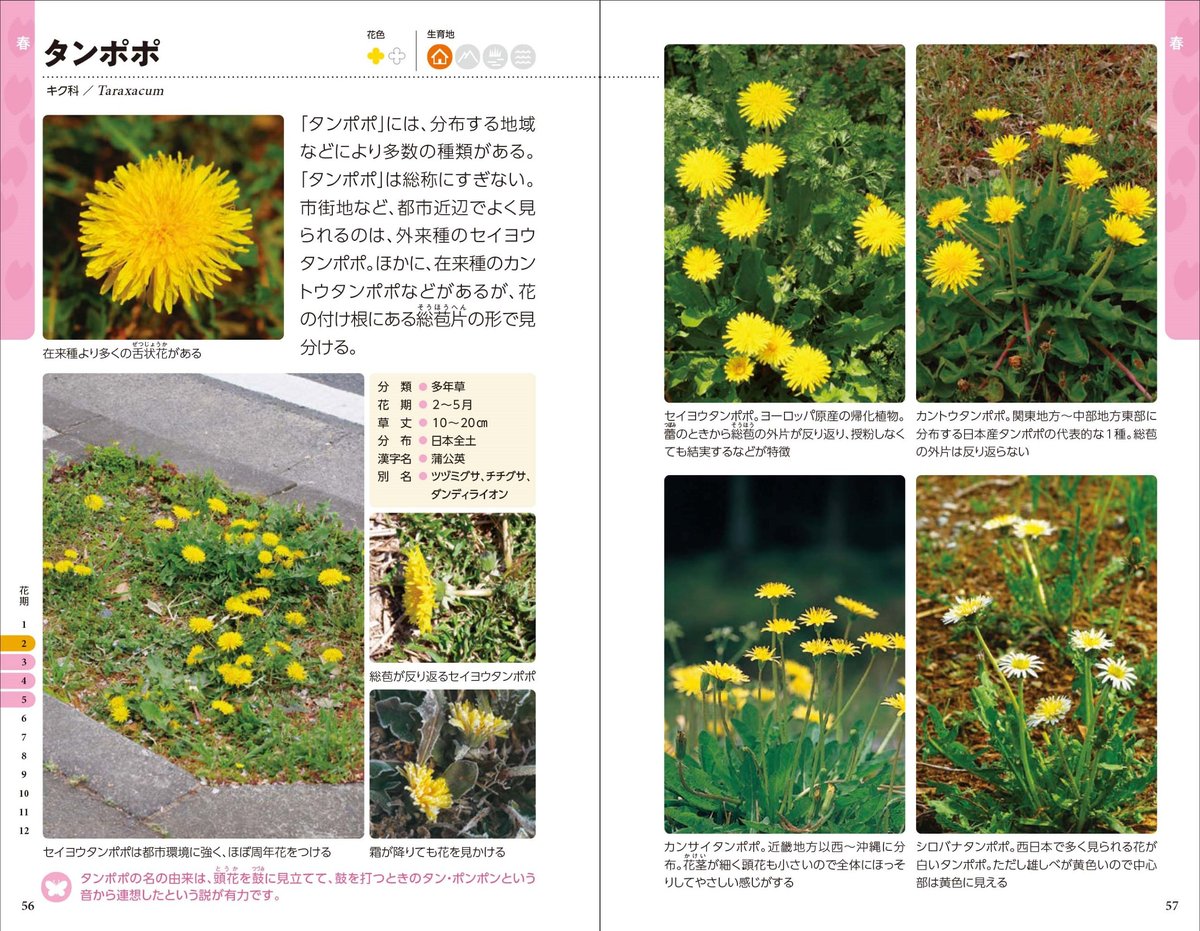 新・散歩で見かける野の花・野草 | 図鑑専門店 図鑑館－ずかんかん－