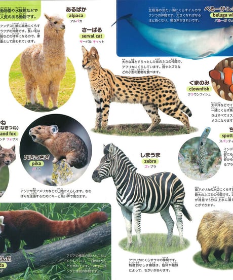 はじめてずかん　どうぶつな〜に？