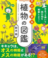 ゆるっと歩いて草や花を観察しよう！ すごすぎる身近な植物の図鑑