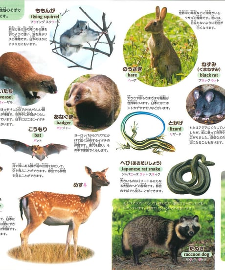 はじめてずかん　どうぶつな〜に？