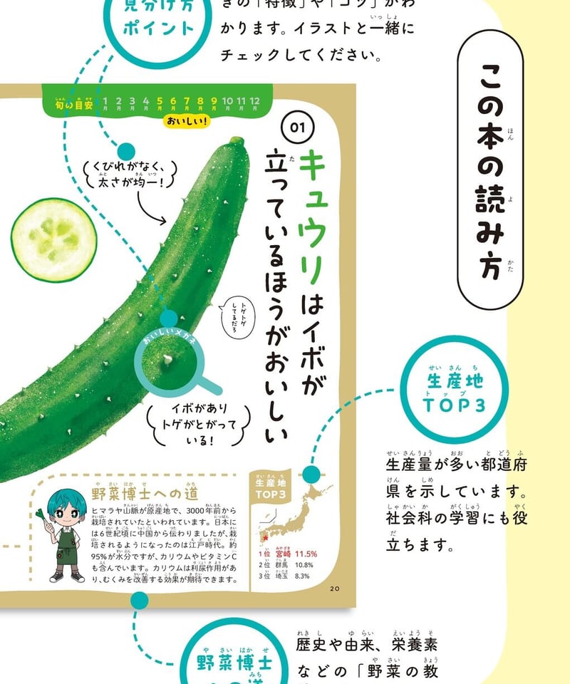 スーパーのエキスパート店員が教える おいしい野菜まるみえ図鑑 | 図鑑