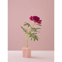 Posture vase n.1